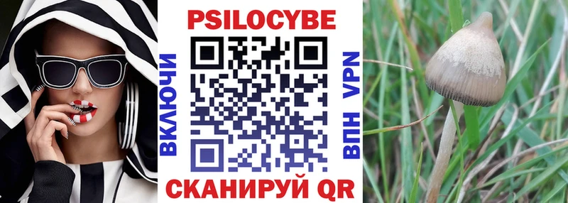 Купить где  Саяногорск  Псилоцибиновые грибы MAGIC MUSHROOMS 